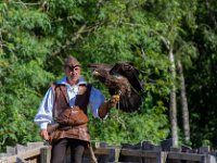 Bal des oiseaux fantomes 29  Puy du Fou (85) - Bal des oiseaux fantomes - Mai 2019