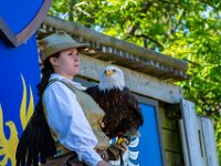Bal des oiseaux fantomes 30  Puy du Fou (85) - Bal des oiseaux fantomes - Mai 2019