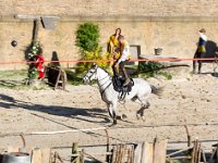 Le secret de la lance 34  Puy du Fou (85) - Le secret de la lance - Mai 2019