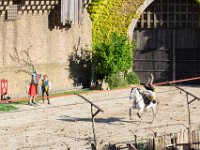 Le secret de la lance 37  Puy du Fou (85) - Le secret de la lance - Mai 2019