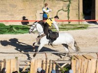 Le secret de la lance 40  Puy du Fou (85) - Le secret de la lance - Mai 2019