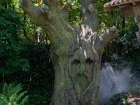 Fables de la Fontaine 4  Puy du Fou (85) - Fables de La Fontaine - Mai 2019