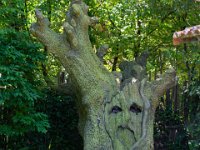 Fables de la Fontaine 5  Puy du Fou (85) - Fables de La Fontaine - Mai 2019