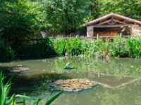 Fables de la Fontaine 8  Puy du Fou (85) - Fables de La Fontaine - Mai 2019