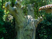 Fables de la Fontaine 9  Puy du Fou (85) - Fables de La Fontaine - Mai 2019