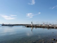 Marsaillan mai 2019 6  Marsellan (34) - Mai 2019