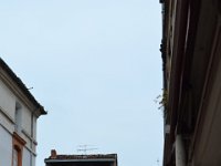 DSC 0036  Montauban.