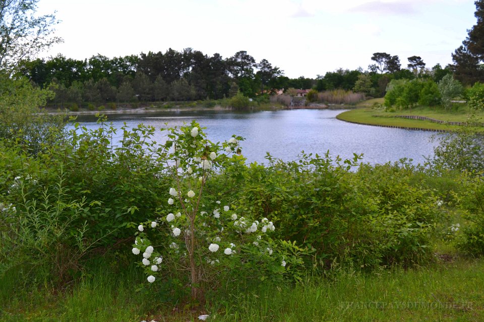 lac cap de Bos 10 mai 2013 43.JPG - Lac de Cap-de-Bos. Mai 2013