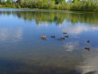 lac cap de Bos 10 mai 2013 14