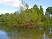 lac cap de Bos 10 mai 2013 28