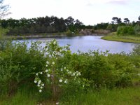 lac cap de Bos 10 mai 2013 43