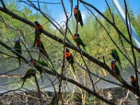 Pessac le zoo 11 08 2018 27  Pessac (33) - Le Zoo - 11 août 2018.