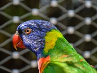 Pessac le zoo 11 08 2018 29  Pessac (33) - Le Zoo - 11 août 2018.
