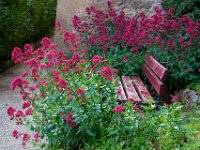 Peyre mai 2019 4  Peyre (12) - Mai 2019