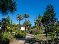Jardin Emmanuel Lopez 5  56  - Porquerolles (Hyères) - 83 - Jardin Emmanuel Lopez