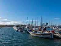Le port 1  09  - Porquerolles (Hyères) - 83 -  Le port