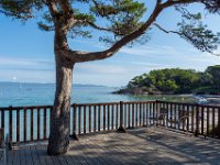 Plage d Argent 6  129  - Porquerolles (Hyères) - 83 - Plage d'Argent