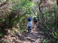 Sur les chemins 5  176  - Porquerolles (Hyères) - 83 -  Sur les chemins