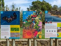 coeur du Parc national  173  - Porquerolles (Hyères) - 83 - coeur du Parc national