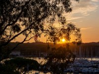 coucher de soleil 8  125  - Porquerolles (Hyères) - 83 - Coucher de soleil depuis les hauteurs de Porquerolles