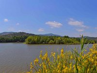 Lac Arena 16 juin 2013 57  Le lac Arena et le rocher de Rquebrune sur Argens. Panorama. 16 juin 2013