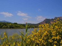 Lac Arena 16 juin 2013 6  Le lac Arena et le rocher de Rquebrune sur Argens. 16 juin 2013