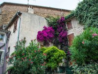 Roquebrune sur Argens 22 07 2018 1  Roquebrune sur Argens (83) - 22 juillet 2018
