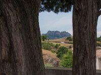 Roquebrune sur Argens 22 07 2018 14  Roquebrune sur Argens (83) - 22 juillet 2018