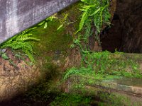 Roquefort mai 2019 12  Roquefort (12) - Le village et les caves - Mai 2019