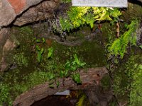 Roquefort mai 2019 20  Roquefort (12) - Le village et les caves - Mai 2019