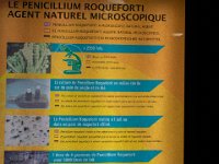 Roquefort mai 2019 23  Roquefort (12) - Le village et les caves - Mai 2019