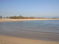 LKa plage et ses palmiers  Les bassins.
