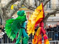 Carnaval Saint Raphael 10 fevrier 2019 16