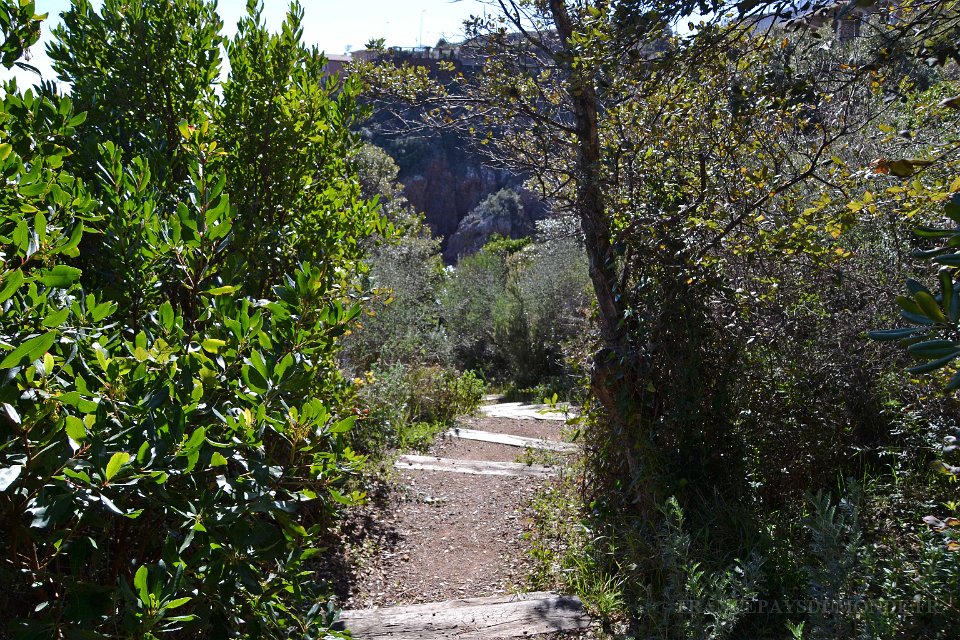 DSC0232.JPG - La corniche d'Or entre Agay et Le Trayas. Accès à la Calanque de l'Aurelle.26 février 2015.