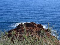 DSC0127  La corniche d'Or entre Agay et Le Trayas. 26 février 2015.