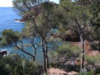 DSC0167  La corniche d'Or entre Agay et Le Trayas. 26 février 2015.
