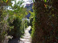 DSC0233  La corniche d'Or entre Agay et Le Trayas.Accès à la Calanque de l'Aurelle.26 février 2015.