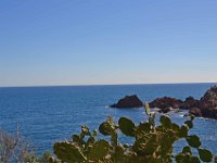 DSC0254  La corniche d'Or entre Agay et Le Trayas. 26 février 2015.