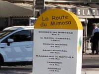 Photo0526  La route du mimosa.