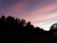 Dramont 21012018 2  Le Dramont - 23 janvier 2018.