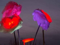Illuminations St Raphael fin 2017 28  Saint-Raphaël (83) - Fin d'année 2017.