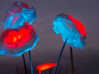 Illuminations St Raphael fin 2017 29  Saint-Raphaël (83) - Fin d'année 2017.