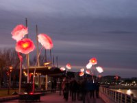 Illuminations St Raphael fin 2017 30  Saint-Raphaël (83) - Fin d'année 2017.