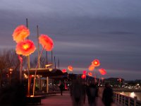 Illuminations St Raphael fin 2017 31  Saint-Raphaël (83) - Fin d'année 2017.