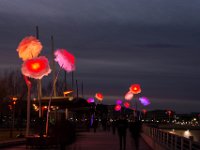 Illuminations St Raphael fin 2017 33  Saint-Raphaël (83) - Fin d'année 2017.
