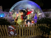 IMG 2438 1 copie  Illuminations 2021