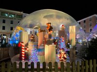 IMG 2443  Illuminations 2021