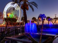 Illimunations 2021 10  Illuminations 2021