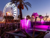 Illimunations 2021 11  Illuminations 2021