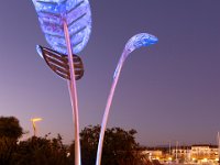 Illimunations 2021 12  Illuminations 2021